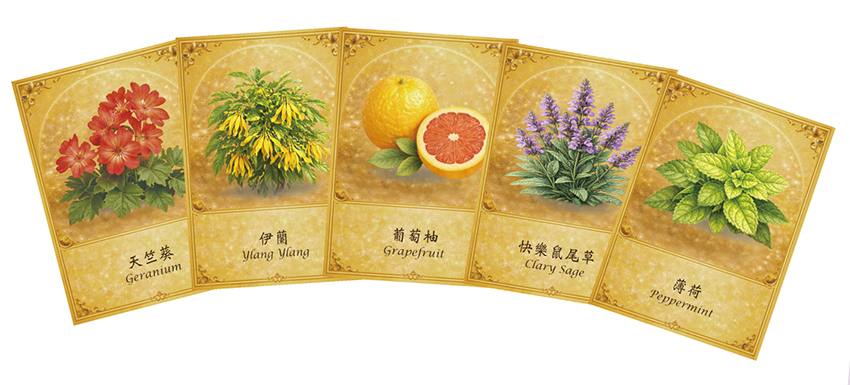 芳香精油塔羅(20週年經典版)